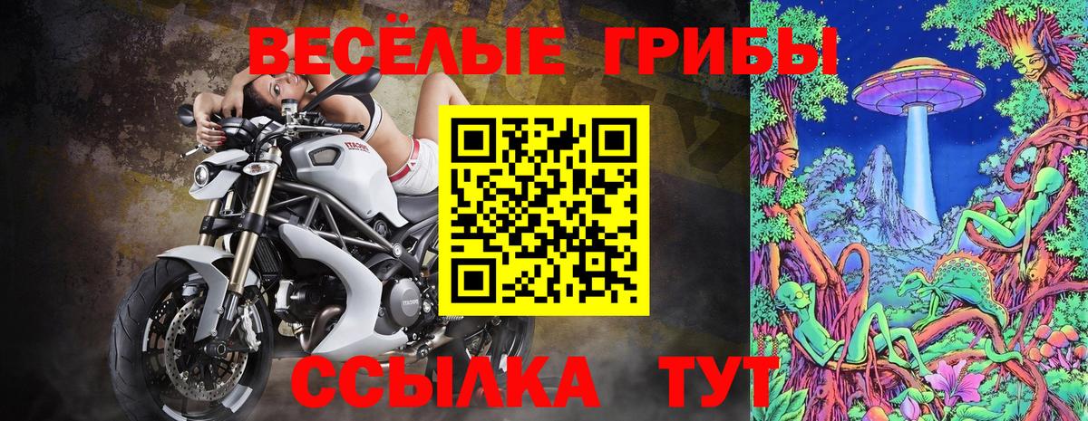 Фурманов  Псилоцибиновые грибы MAGIC MUSHROOMS  наркотики  Вход с VPN 